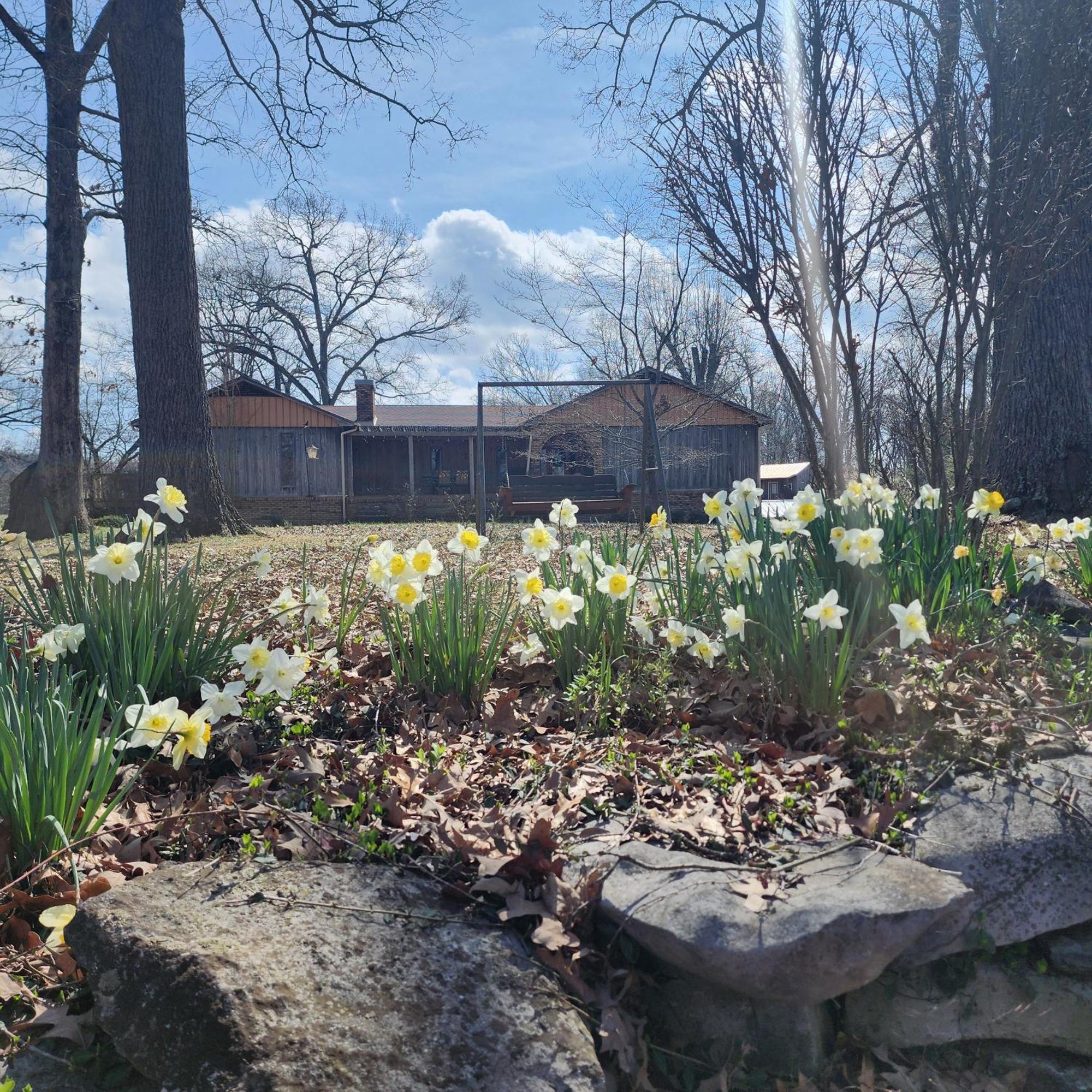 Sisters On Sycamore B&B Russellville Εξωτερικό φωτογραφία