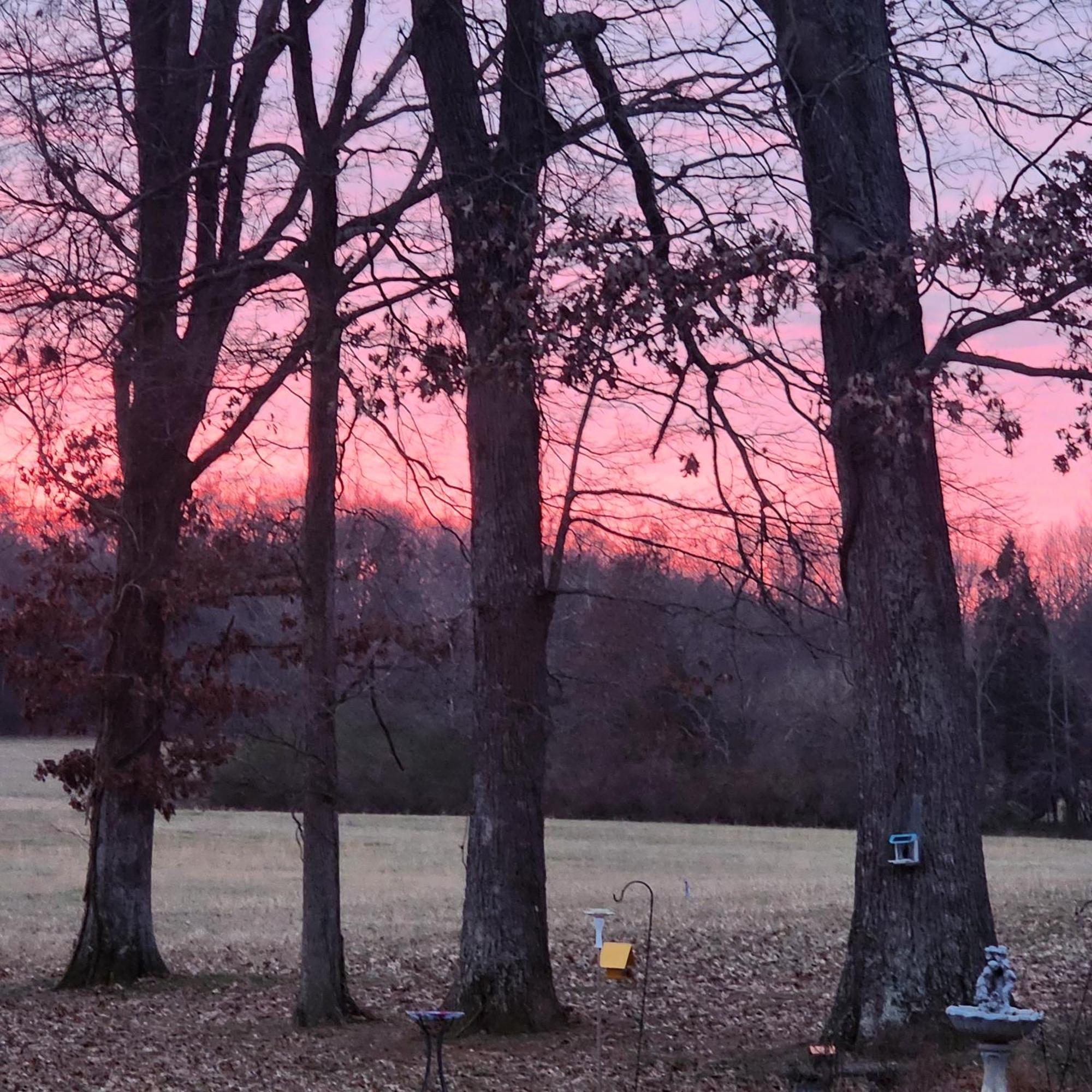 Sisters On Sycamore B&B Russellville Εξωτερικό φωτογραφία