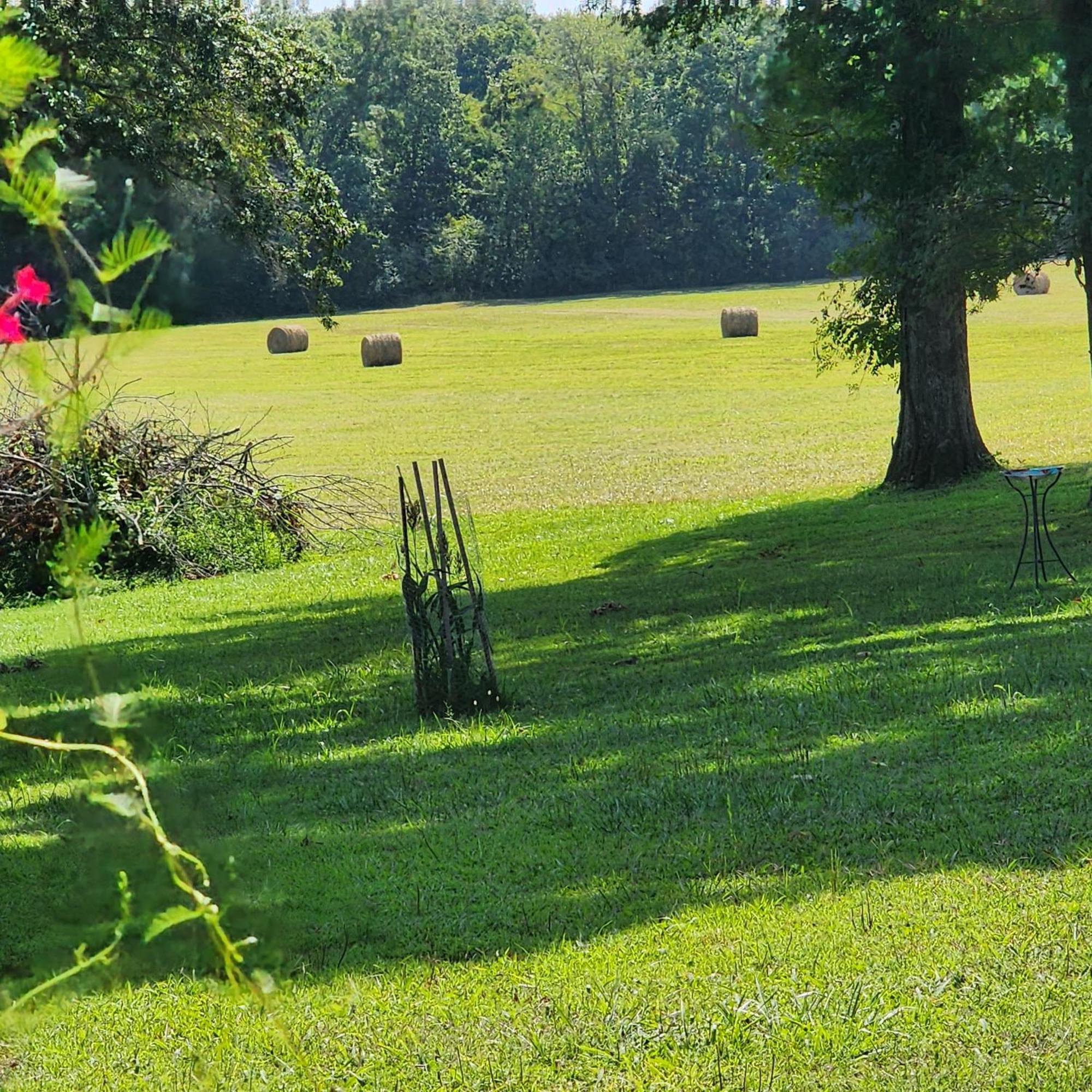Sisters On Sycamore B&B Russellville Εξωτερικό φωτογραφία